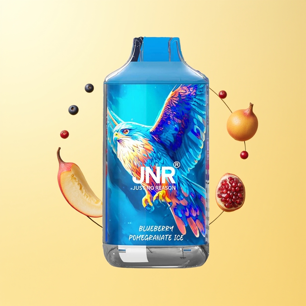 JNR Falcon 16000 Puffs توت أزرق رمان مثلج