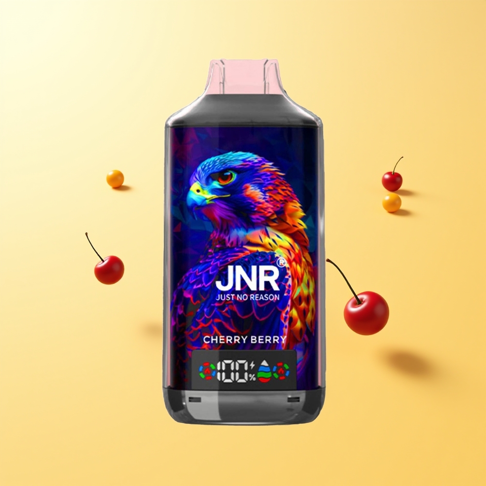 JNR Falcon X 18000 Puffs كرزي توتي شاحن سريع