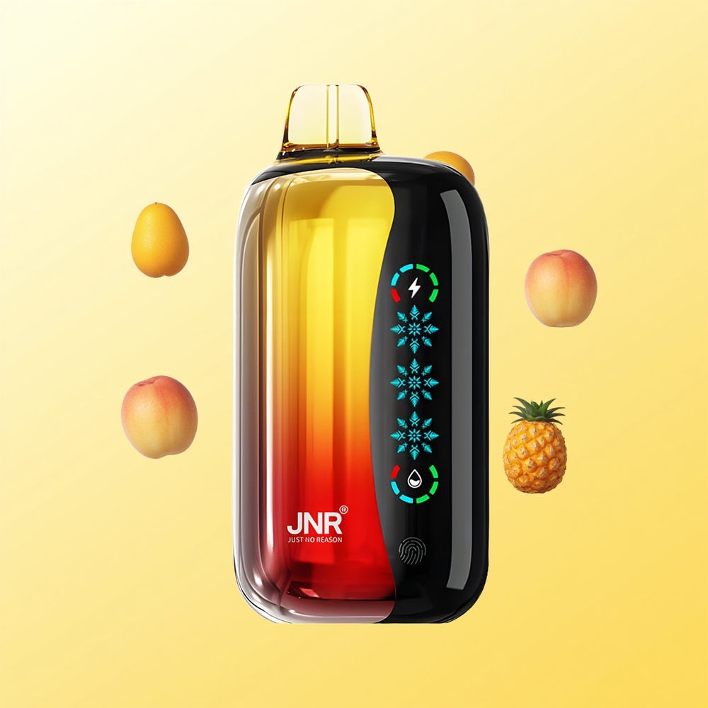 JNR Flex Ice 21000 نَفَث خوخ مانجو أناناس قابل للتعديل