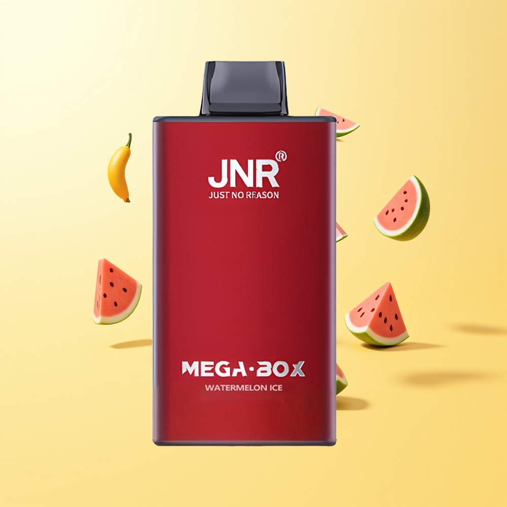 JNR Mega Box 25000 نفخة بخار قابل للتصرف بطيخ مثلج