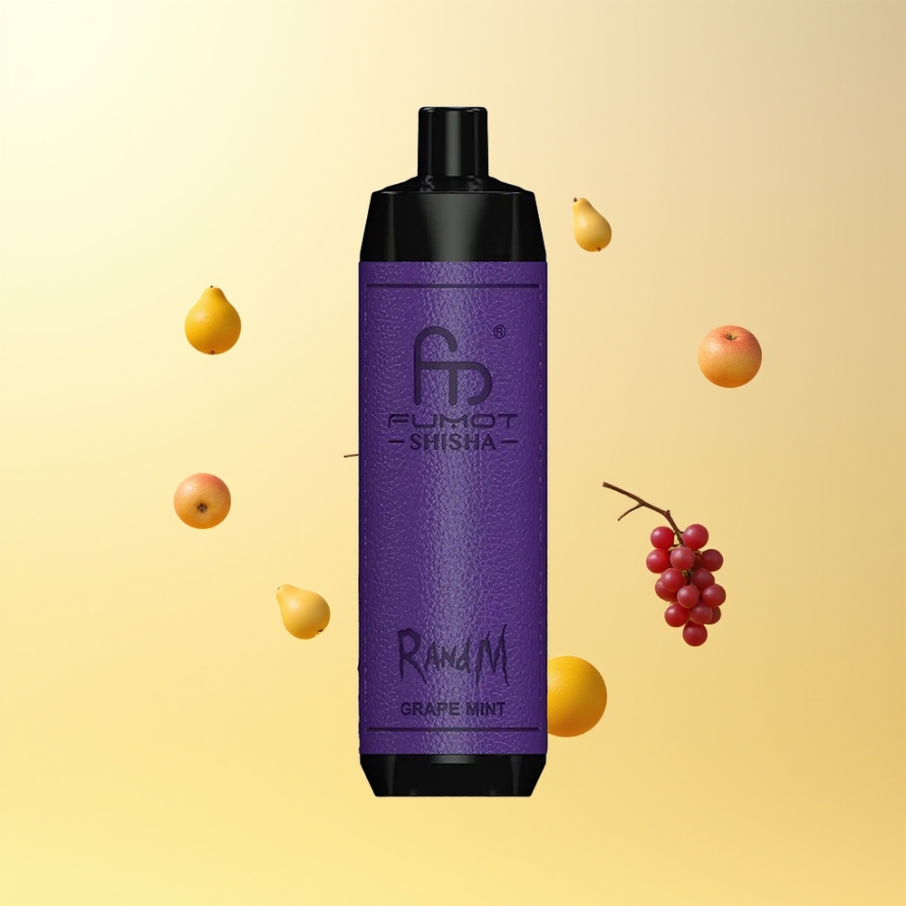 راند أند إم فوموت شيشة RandM Fumot Shisha 10000 نفخة جراب مينت
