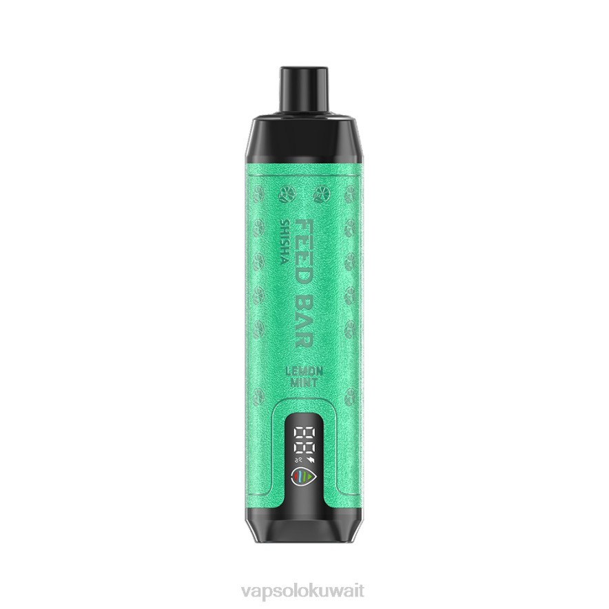 Vapsolo Kuwait - VapSolo SHISHA vape القابل للتصرف ليمون نعناع PLPD7