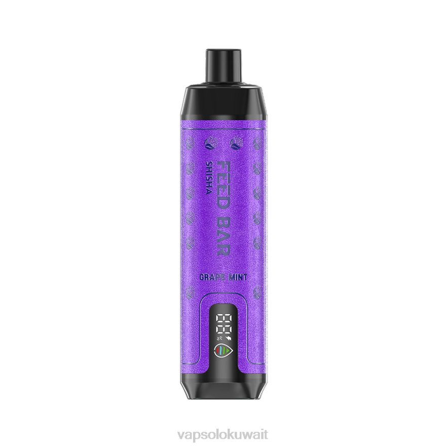 Vapsolo Puffs - VapSolo SHISHA vape القابل للتصرف نعناع العنب PLPD6