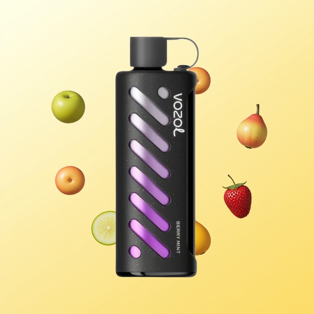 VOZOL Gear Shisha 25000 نفخة توت بالنعناع