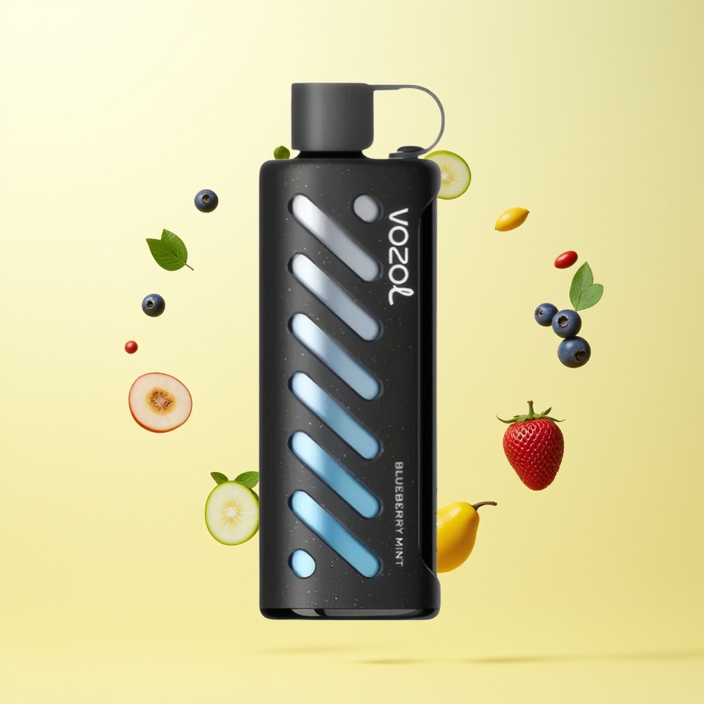 VOZOL Gear Shisha 25000 Puffs شيشة نعناع توت أزرق